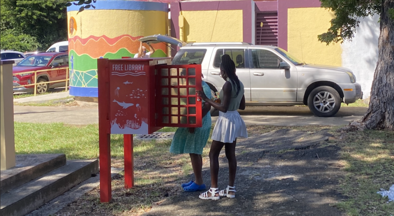 CFVI Opened the Newest Little Free Library at McBean Ballpark